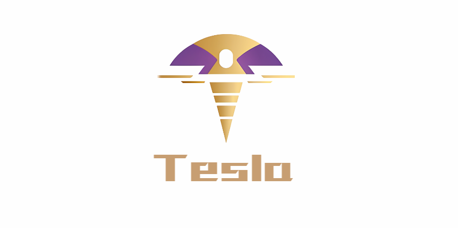 Tesla Logo Analysis and Its Distinctive Features in the Automotive IndustryImage7